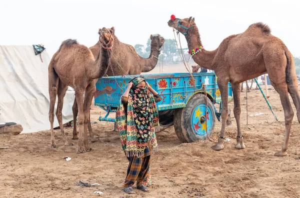 Pushkar Rajasthan India November 2019 Porträtt Indisk Kvinna Pushkar Camel — Stockfoto