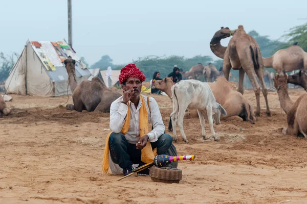 Pushkar Rajasthan India November 2019 Porträtt Ormtjusare Med Indiansk Kobra — Stockfoto