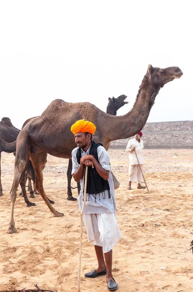 Pushkar Rajasthan India November 2019 인종적으로 레이시아 드레스를 인도인의 낙타의 — 스톡 사진