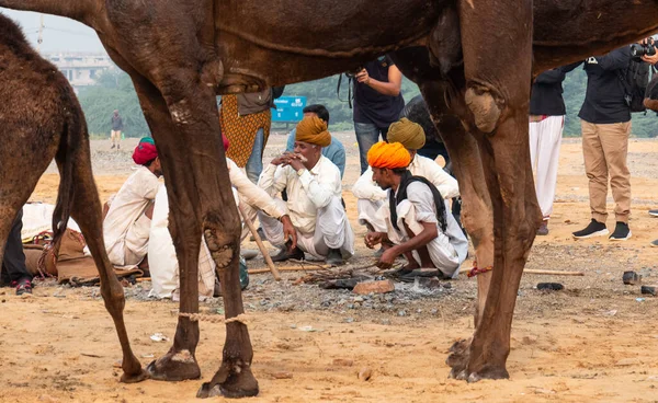 Pushkar Rajasthan India November 2019 인종적으로 레이시아 드레스를 인도인의 낙타의 — 스톡 사진