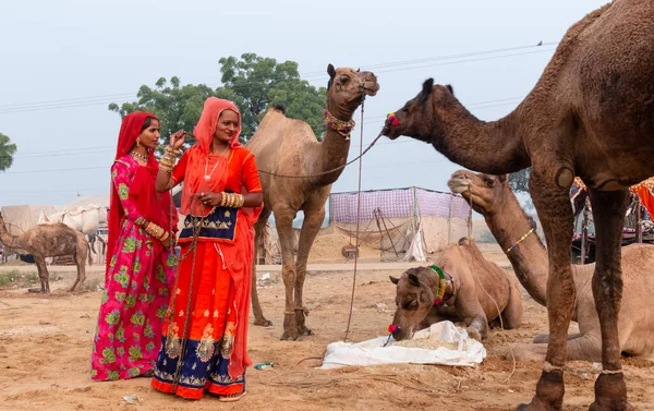 Pushkar Rajasthan India Noviembre 2019 Retrato Sobre Una Joven Hermosa — Foto de Stock