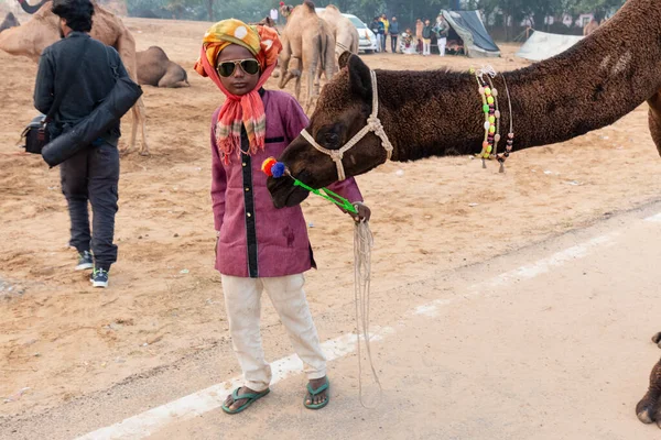 Pushkar Rajasthan Índia Novembro 2019 Jovem Índio Com Camelo Feira — Fotografia de Stock