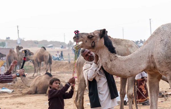 Pushkar Rajasthan Indien November 2019 Indischer Junge Mit Kamel Auf — Stockfoto