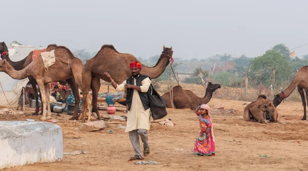 印度拉贾斯坦邦普什卡骆驼展示会 普什卡骆驼展示会 的印度人和骆驼 — 图库照片