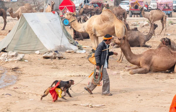 Pushkar Rajasthan Indien November 2019 Indischer Mann Lockt Touristen Mit — Stockfoto