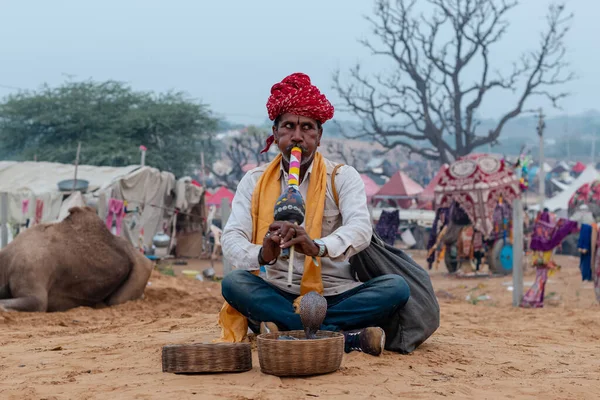 Pushkar Rajasthan India Ledna 2019 Portrét Hada Krasoň Indickým Hadem — Stock fotografie