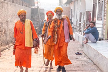 BARSANA, UTTAR PRADESH / INDIA - Mart 2020: Barsana şehrindeki renkli Holi festivaline katılan Hindistan halkının portresi