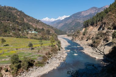 Chopta Vadisi Sahnesi, Uttarakhand