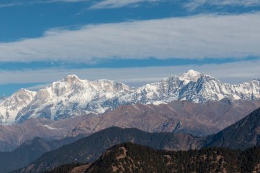 Chopta Vadisi Sahnesi, Uttarakhand