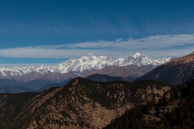 Chopta Vadisi Sahnesi, Uttarakhand