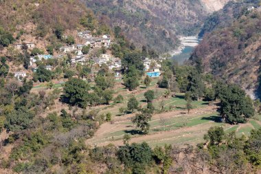 Chopta Vadisi Sahnesi, Uttarakhand