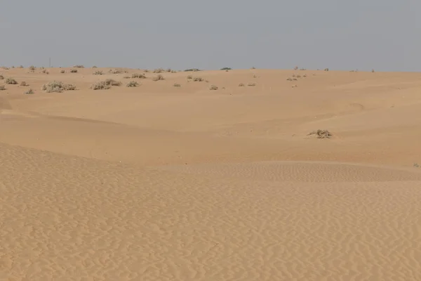 Paisaje Del Desierto Thar Jaisalmer — Foto de Stock