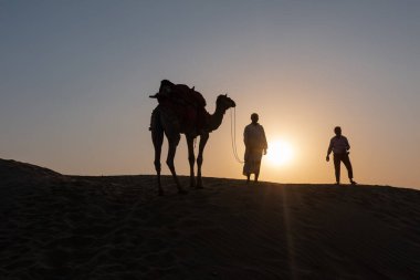 Gün batımında Jaisalmer, Hindistan 'daki San Dunes çölünde bir adamın silueti ve develer.