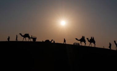 Gün batımında Jaisalmer, Hindistan 'daki San Dunes çölünde bir adamın silueti ve develer.