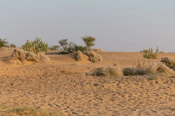 Dunas Areia Deserto Thar Jaisalmer — Fotografia de Stock