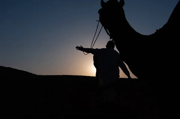 Silhueta Homem Camelos Durante Pôr Sol Deserto San Dunes Jaisalmer — Fotografia de Stock