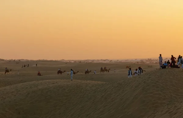 Silhouette Uomo Cammelli Durante Tramonto Nel Deserto San Dunes Jaisalmer — Foto Stock