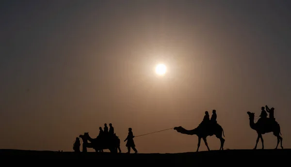 Silhouette Egy Férfi Tevék Naplementekor San Dunes Sivatagban Jaisalmer India — Stock Fotó