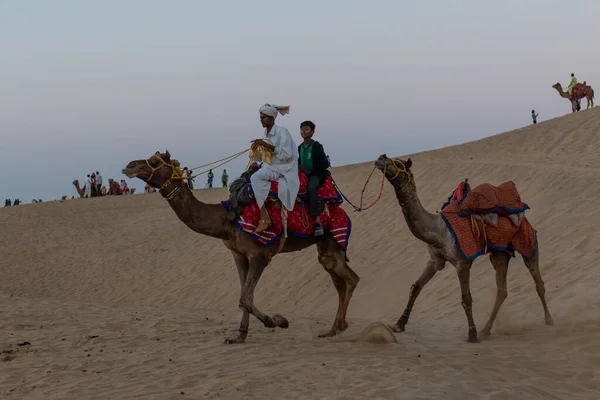 Teve Vezetők Tevéikkel Thar Sivatag Dűnéin Jaisalmer India — Stock Fotó