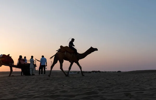 Silhuett Man Och Kameler Solnedgången San Dunes Öknen Jaisalmer Indien — Stockfoto