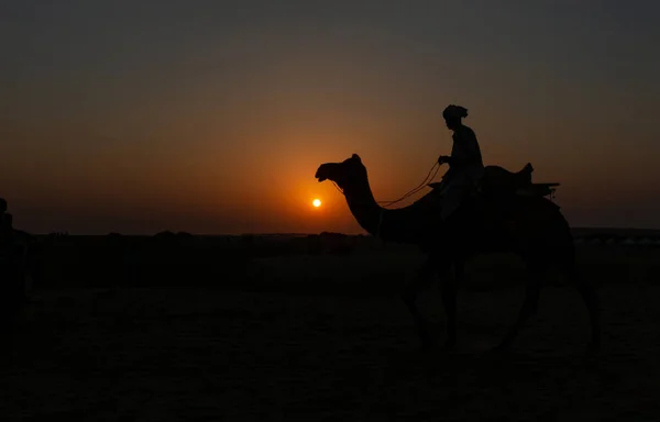 Silhueta Homem Camelos Durante Pôr Sol Deserto San Dunes Jaisalmer — Fotografia de Stock