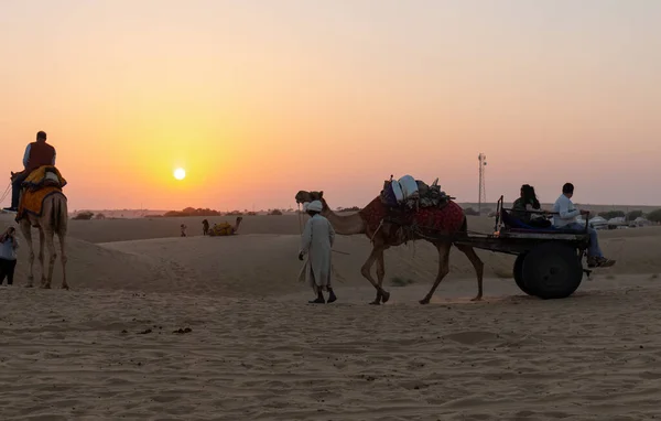 Silhuett Man Och Kameler Solnedgången San Dunes Öknen Jaisalmer Indien — Stockfoto