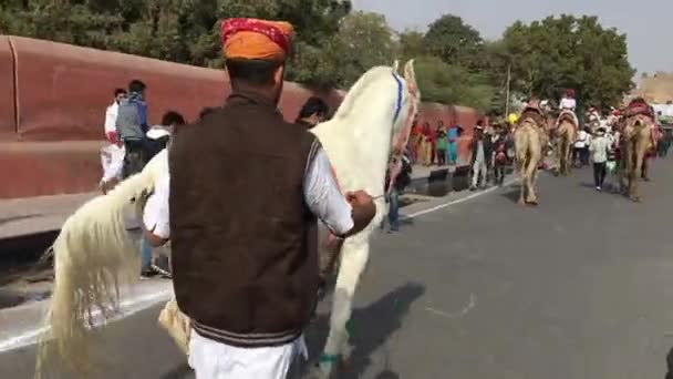 Cavalo Dançante Festival Camelos Ciclista Marcha Abertura Bikaner Rajasthan Índia — Vídeo de Stock