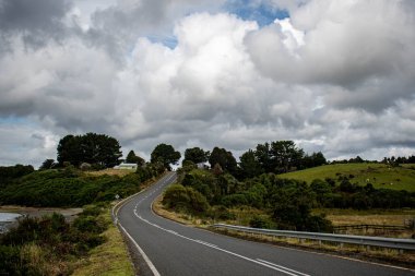 Bulutlu bir günde ağaçlı bir çayırda asfalt bir yol.