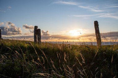 Şili 'nin Chiloe Adası' nda altın bir çim ve dikenli tel örgü ile günbatımı