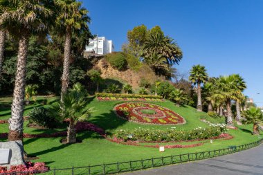 Şili, Vina del Mar 'da Çiçekli Saat