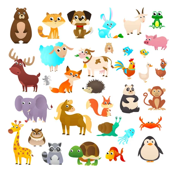 Animales marinos, animales salvajes, animales forestales . — Vector de stock