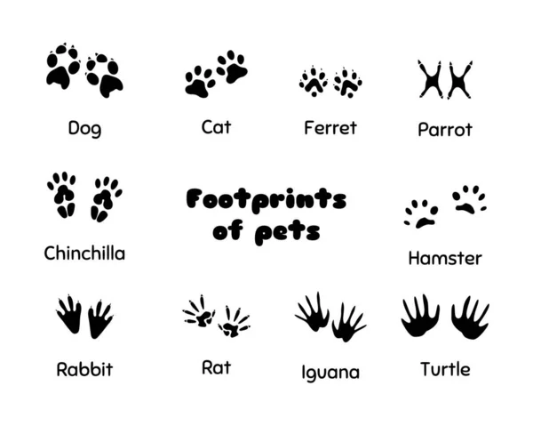 Footprints of animals. — Stock Vector