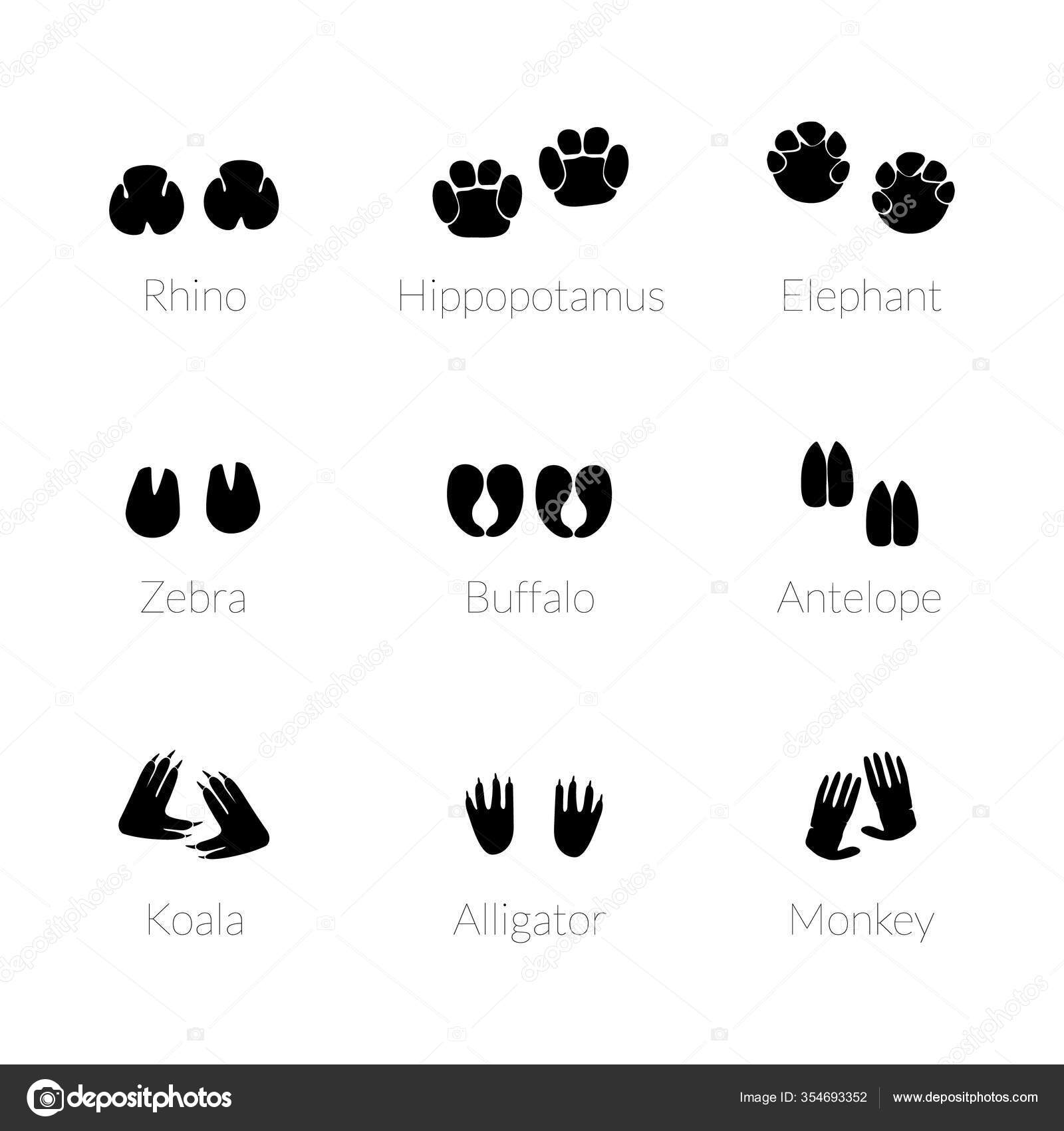Huellas de animales, huellas de patas . Vector de stock #354693352 de  ©Mandarinka1970, image size:1600x1700