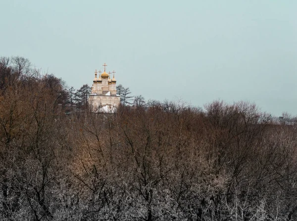 Ryazan Kremlin. Ostrozhny Tepesi. Yar 'daki Dönüşüm Kilisesi. Yar 'daki Kilise Spasa Preobrazhenie