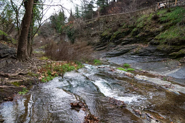 Ulusal Botanik Bahçesi. Boğaz. Nehir. Tiflis. Georgia.