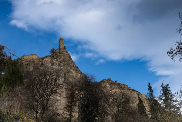 Narikala ősi erődje. Kilátás a Nemzeti Botanikus Kert oldaláról. Georgia vagyok. Tbiliszi. — Stock Fotó