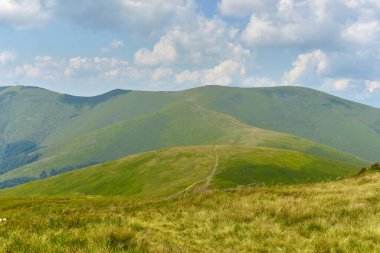 Karpat ekosisteminin eşsiz manzarası, Ukrayna 
