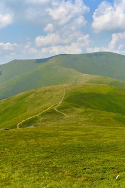 Karpat ekosisteminin eşsiz manzarası, Ukrayna 