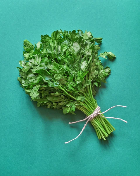 The bundle of fresh green parsley laying on solid green background. Top shot.