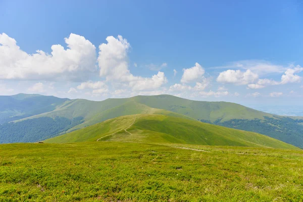 Paisaje Único Del Ecosistema Los Cárpatos Ucrania — Foto de Stock