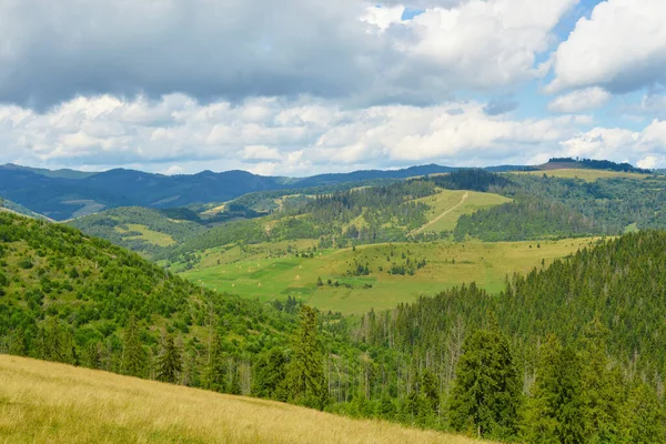 Унікальний Краєвид Карпатської Екосистеми Україна Стокове Зображення