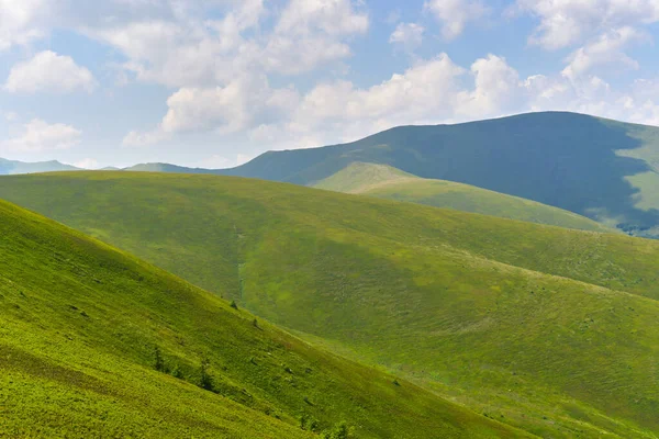 Paisaje Único Del Ecosistema Los Cárpatos Ucrania — Foto de Stock