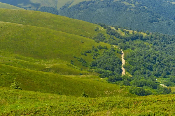 Paisaje Único Del Ecosistema Los Cárpatos Ucrania — Foto de Stock