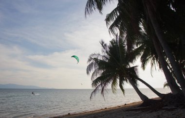Rüzgarlı bir günde uçurtma sörfü ve arka planda palmiye ağaçları
