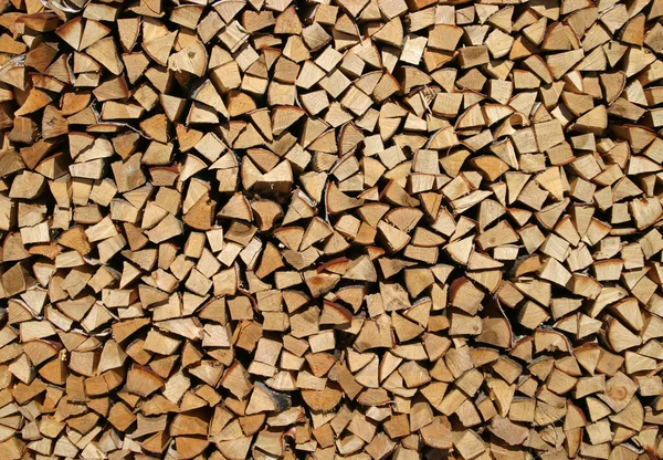 Birch Firewood Stacked Woodpile — Stock Photo, Image