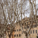 Ancient buildings on street of Rome, Italy