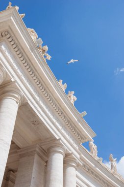 ünlü St. Peter's Basilica, Vatikan, İtalya uçan güvercin