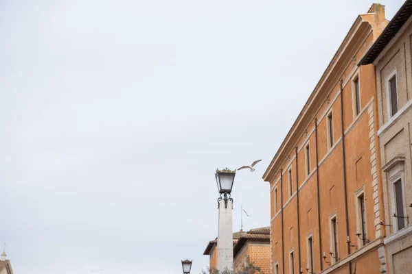 Edificios Antiguos Calle Roma Italia — Foto de stock gratuita