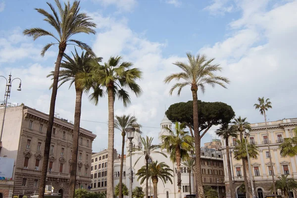 Palm Trees White Building Rome Italy — Free Stock Photo