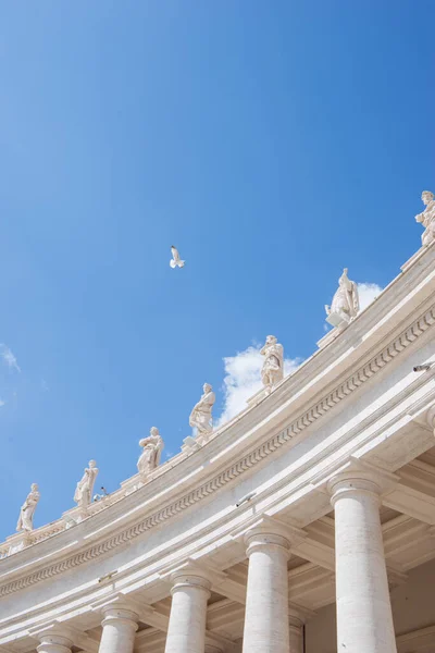 Porumbel Zburând Peste Faimoasa Bazilică Petru Vatican Italia — Fotografie de stoc gratuită